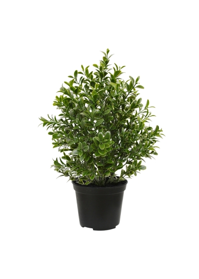 Bosso Pianta Artificiale 30cm in vaso - UV Resistente