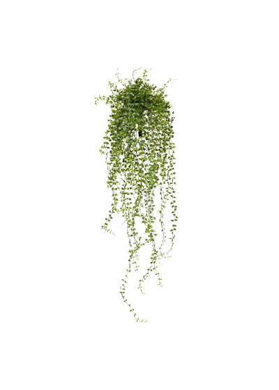 Callisia Pianta Artificiale Pendente 70cm - UV Resistente