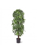Schefflera colonna Albero Artificiale 120cm - UV Resistente