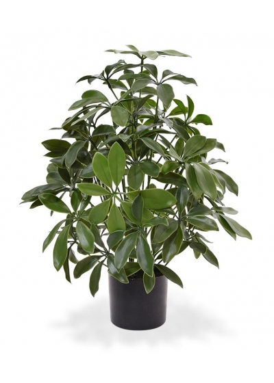 Schefflera Pianta Artificiale 50cm - UV Resistente