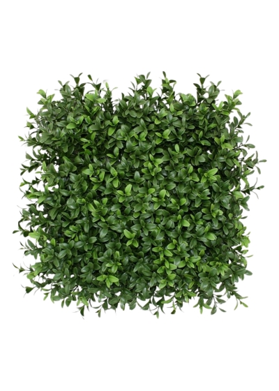 Buxus tappeto Artificiale x300 - UV Resistente