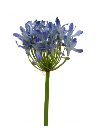 Agapanthus ramo Artificiale Deluxe 60cm lilla