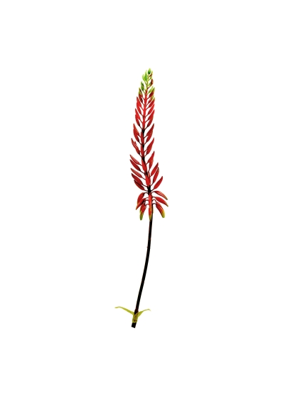 Agave ramo Artificiale 80cm Arancione