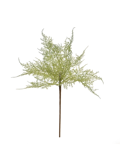 Asparagus ramo Artificiale 45cm Grigio/Verde