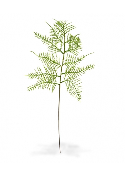 Asparagus ramo Artificiale 55cm