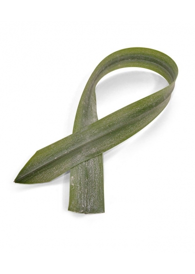 Aspidistra foglia Artificiale 75cm Verde