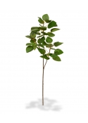 Cercis Canadensis ramo Artificiale 80cm Verde