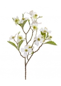 Cornus ramo Artificiale 50 cm Crema