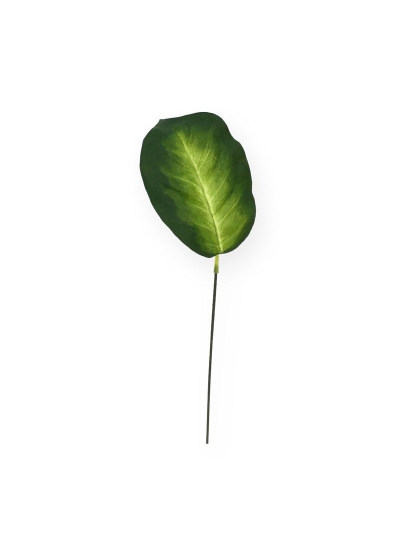 Dieffenbachia foglia Artificiale