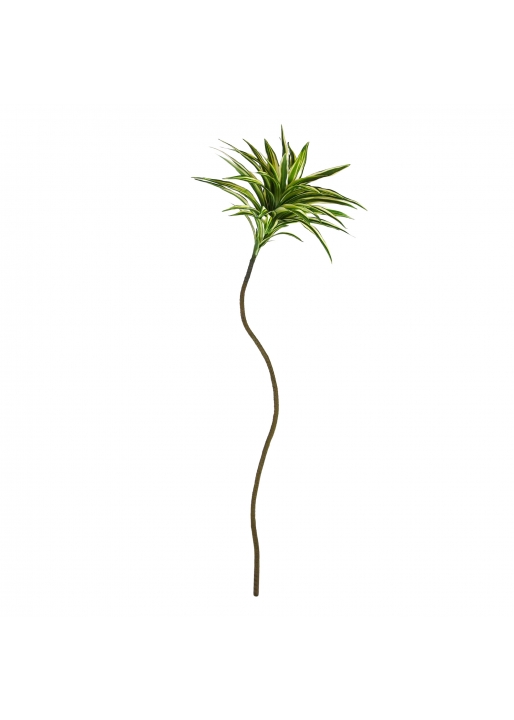 Dracena Reflexa ramo Artificiale 105cm Variegato