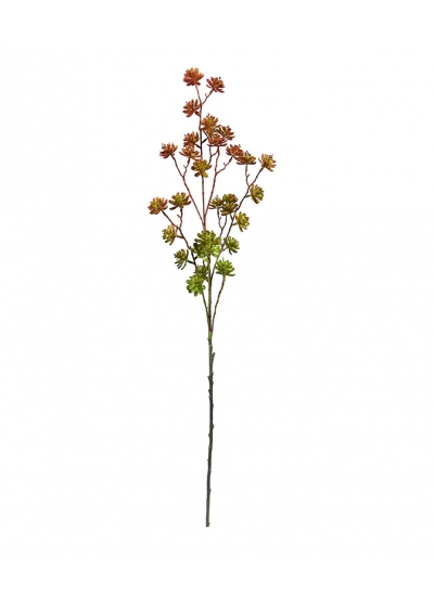 Echeveria ramo Artificiale 100cm - Bordeaux