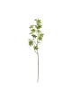 Enkianthus ramo Artificiale 85cm - Verde