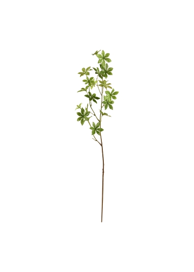 Enkianthus ramo Artificiale 85cm - Verde