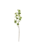 Enkianthus ramo Artificiale 85cm - Verde