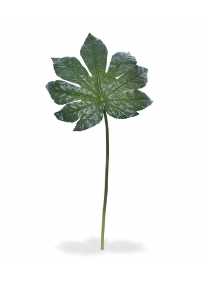 Fatsia foglia Artificiale XL 81cm