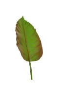 Foglia di Caladium Artificiale Deluxe 75cm