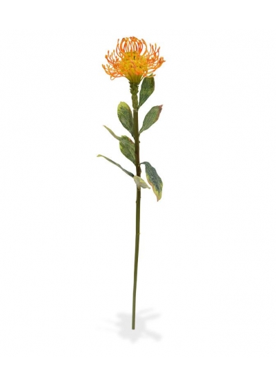 Leucadendron ramo Artificiale 60cm - Arancione