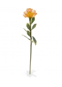 Leucadendron ramo Artificiale 60cm - Arancione