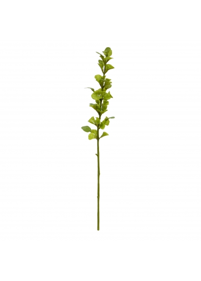 Molucella ramo Artificiale 83cm Verde