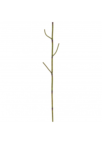 Polygonum ramo Artificiale 86cm Verde