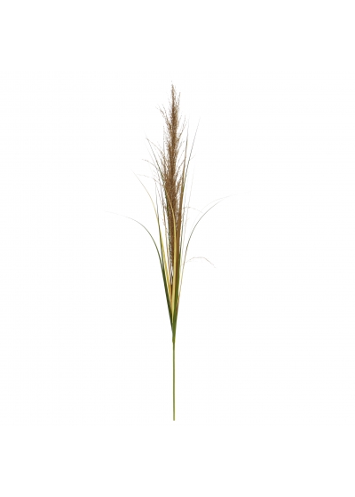 Pampas ramo Artificiale 125cm naturale