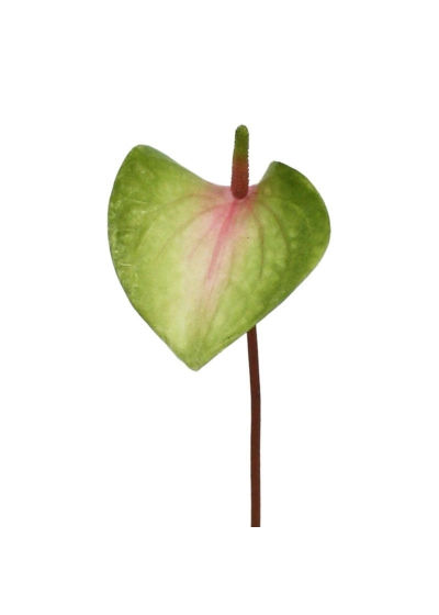Anthurium ramo Artificiale S 50cm - Rosa-Verde