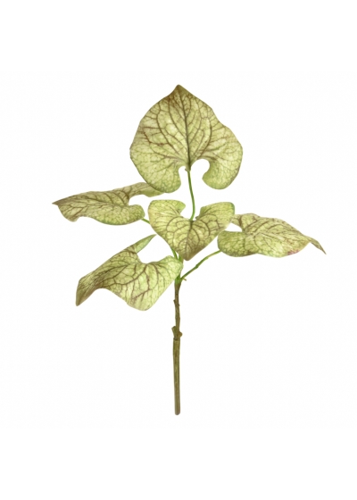 Brunnera ramo Artificiale 35cm - Verde/Marrone