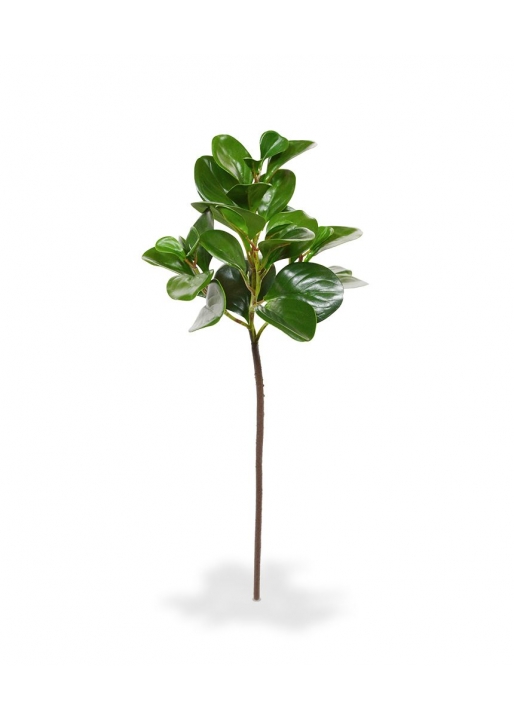 Peperomia Obtusifolia ramo foglia Artificiale 50cm