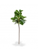 Peperomia Obtusifolia ramo foglia Artificiale 50cm