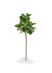 Peperomia Obtusifolia ramo foglia Artificiale 50cm