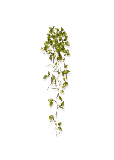Peperomia ramo Pendente Artificiale Variegato 80cm