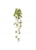 Peperomia ramo Pendente Artificiale Variegato 80cm