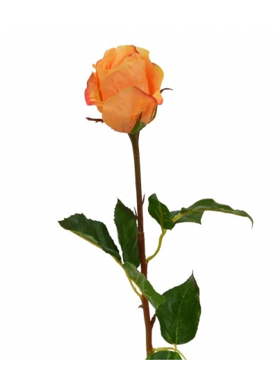 Ramo di Rosa con bocciolo 52cm - Arancione