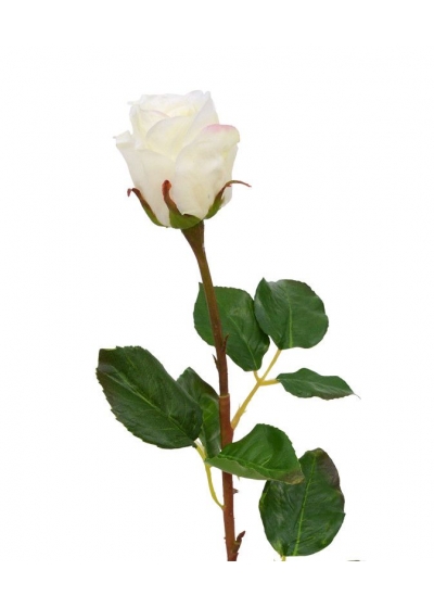 Ramo di Rosa con bocciolo 52cm - Crema