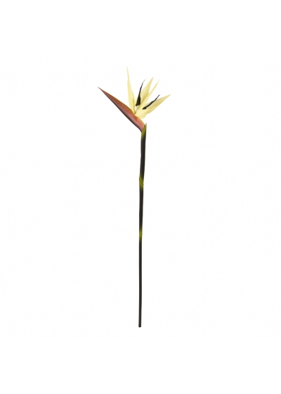 Strelitzia ramo Artificiale Deluxe 90cm Crema