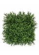 Buxus tappeto Artificiale x300