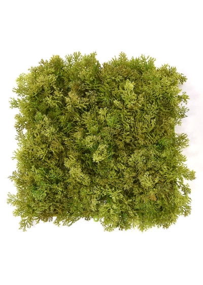 Muschio di renna tappeto Artificiale 25x25cm - Verde/Marrone