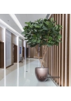 Ficus Ficus Lyrata XL Albero Artificiale Deluxe 300cm