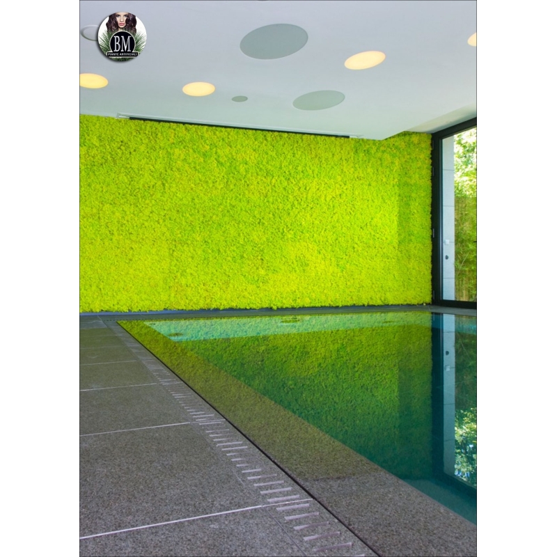 WALL OF LICHEN - panels 100x100cm Various Colors