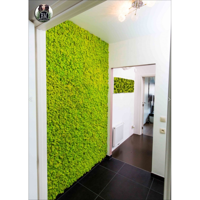 WALL OF LICHEN - panels 100x100cm Various Colors