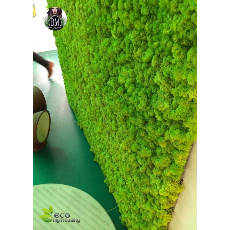 WALL OF LICHEN - panels 100x100cm Various Colors