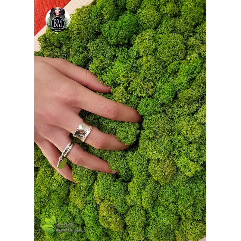 PARETE DI LICHENE - Pannelli da 100x100cm Vari Colori (PREZZO AL MQ su RICHIESTA)