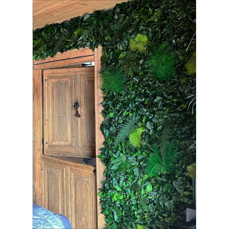 LICHEN WALL Panels from 75x75m Different Colors 