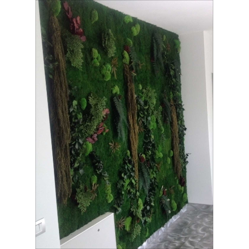 LICHEN WALL Panels from 75x75m Different Colors 