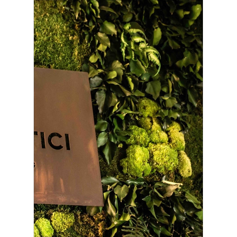 LICHEN WALL Panels from 75x75m Different Colors 