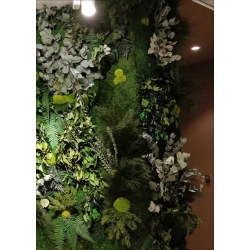 LICHEN WALL Panels from 75x75m Different Colors 