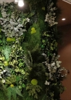 LICHEN WALL Panels from 75x75m Different Colors 