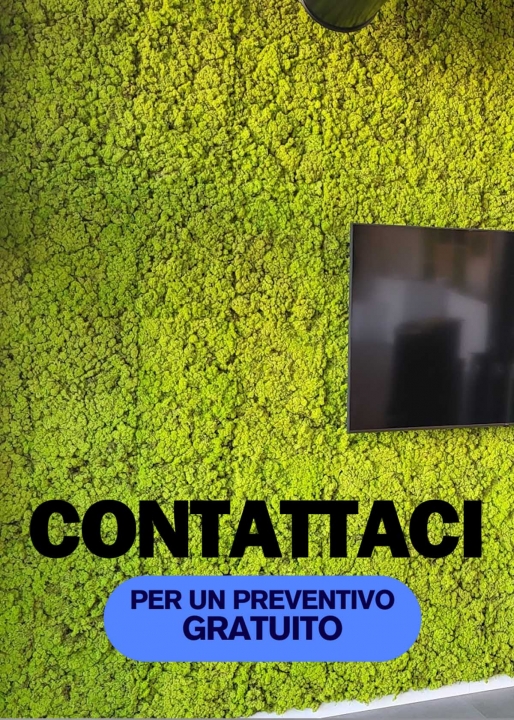 Pannelli di Lichene Naturale Stabilizzato Realizzati su misura per Allestimenti Pareti Verdi