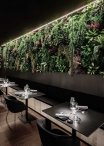 Giardino Verticale Artificiale LUX™ per INTERNI ed ESTERNI - Pannelli Assemblabili 
