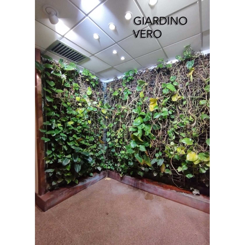Vertical garden ARTIFICIAL LUX™ for INTERIOR and EXTERIOR Panel for Assembly - CALL FOR QUOTE